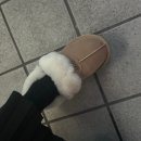 오지마미