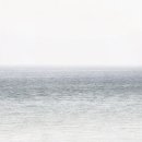 커피체리 이미지