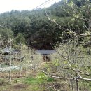 봉화열목어마을영농조합 | [공지] <2025년 봄> 태백산 백천명품마을 힐링프로그램 참가자 모집