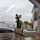 홍일영카클리닉 이미지