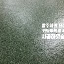 정성푸드육가공