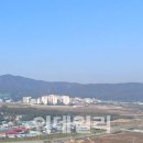 단비입찰 이미지