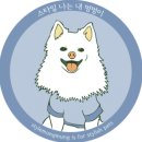 멍멍 스타일 네이버블로그