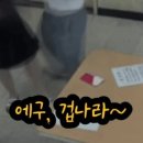 생계아이스크림