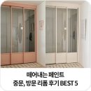 더매직광택 | 떼어내는 페인트 중문, 방문, 세탁실문 리폼 후기 BEST 5 - 노루와 매직오프 필러블 페인트
