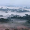길목 - 천안시 동남구 서부대로 276 | 길목