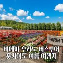 호수가에풍경가든 | 비에이 후라노 버스투어 홋카이도 여름 여행지 후기