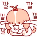 일산탄현 원조홍어무침 이미지