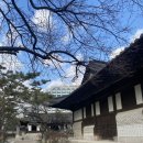 가례(남) | 운현궁 / 서울 종로 가볼 만한 곳