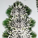 삼가-25 이미지