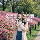 명동힐 | 호텔 파크 힐 명동 후기와 예약 유용한 정보 - 전문가 추천 가이드