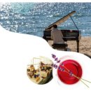 서울놀이마당 상설정기공연 이미지