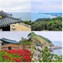 비호시스템(주) | 조선왕실 여인들 불교후원-문정황후 보우 대사 발탁, 불교중흥 서산.사명대사 활약