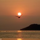 징검다리 - 관악구 | 징검다리