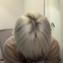 완숙미인토마토 | 진단은 전치 1生