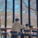 오펠라헬스케어코리아(주) 이미지