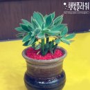 부영플라워