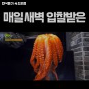 만석찜가 속초본점 강원 속초 물회 추천