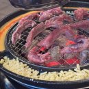 신마포갈매기 이미지