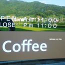 댄싱피그