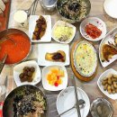 [포항맛집] 죽도시장 삼형제횟집 물회 회밥 내돈내먹 추천
