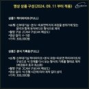 퀄리티원탁 | W4. 대전 본식 DVD 원탁미디어 계약후기 (짝꿍코드 O)