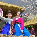 국도13호선 가로수 | 3월에 떠나는 매화-산수유꽃-동백꽃 만발한 남도 대표여행지 추천
