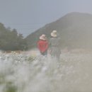 운산천 이미지