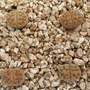 커피내음 이미지