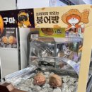 지에스25울산뉴꽃바위점