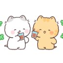 베이비캐슬 어린이집