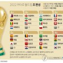 2022 월드컵 4강… 이미지