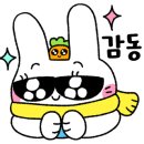 제주네 애견유치원 이미지