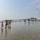 해애루민박 이미지