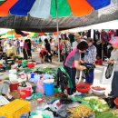 대도양행 이미지