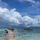 F42 | 2025년 10월 보홀 3박 5일 여행 프리뷰