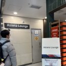 A300 | [제주공항] 아시아나 국내선 라운지, OZ8998 비즈니스 클래스 이용후기(기종 A330-A300)