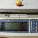 이재익 농장 이미지