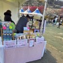 (주)통통마을신문 | 광양 매화축제 실시간 매화 마을 주차 꿀팁 이벤트 정보 등 (3.14.)기준