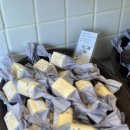 발리스파테라스5 이미지