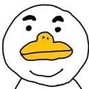 멧돼지 농장 Daum카페