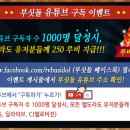 부싯돌(BUSIDOL) 네이버블로그