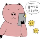 팻투데이(FATTODAY) 이미지