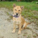 순덕농장 이미지