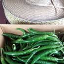 옥주농장 이미지