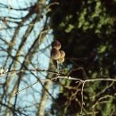 작은농원 이미지