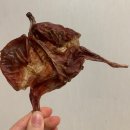 짱이네새참 | 가성비 좋은 강아지 수제간식 추천 짱이네새참 :) ㅣ 닭발껌 메추리껌 소간칩머핀