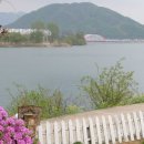 미스타페오 이미지