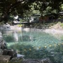 지리산장펜션 | 완주 동상계곡 인기 물놀이 TOP5 (검태오남매,알프스산장,돌섬산장,대아리977,제일산장) 꿀팁