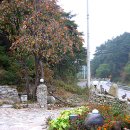 송암민박 이미지